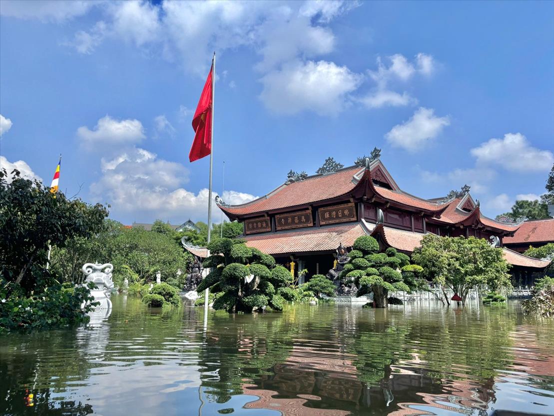 lu lut mien bac_nguoiphattu.jpeg